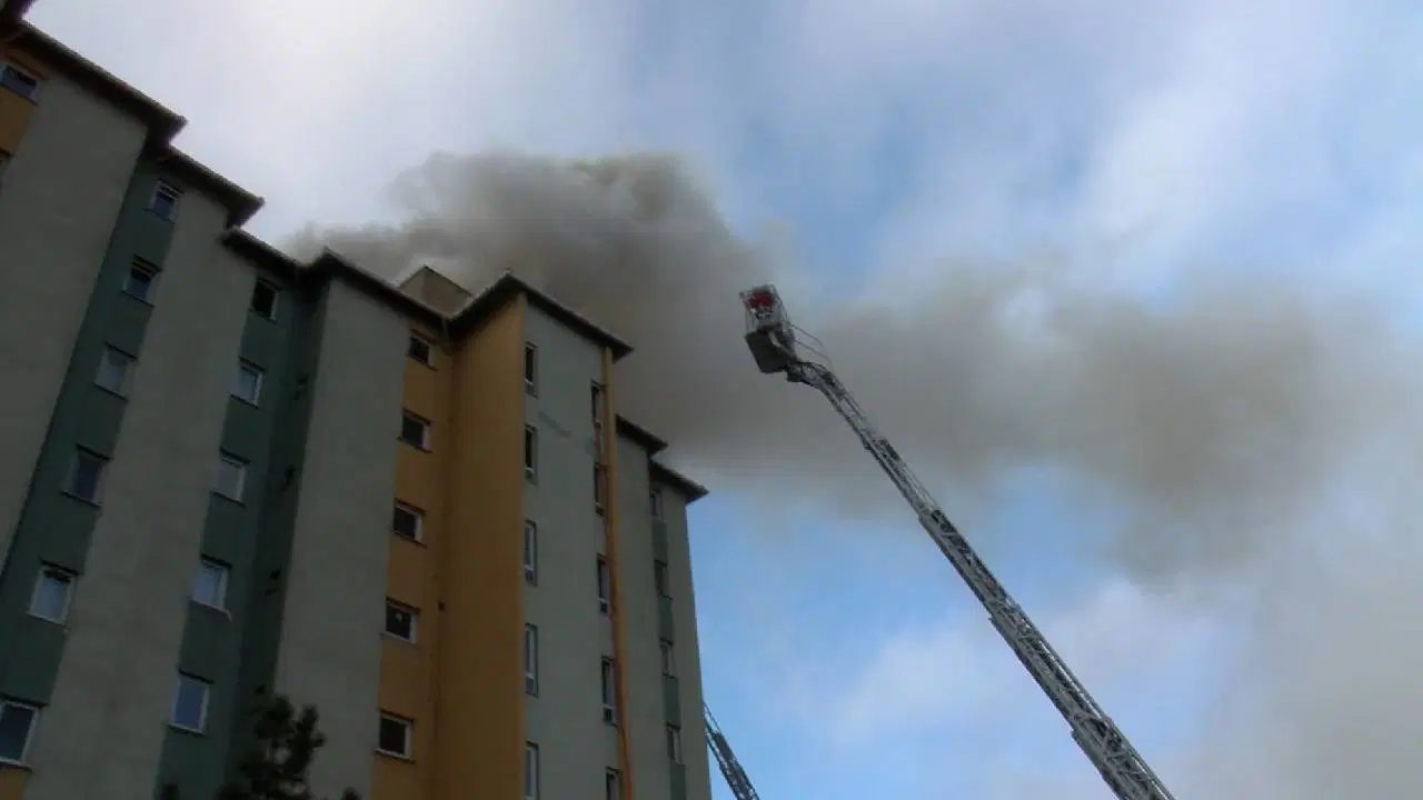 Ataşehir’de sitede yangın paniği: Engelli köpek mahsur kaldı