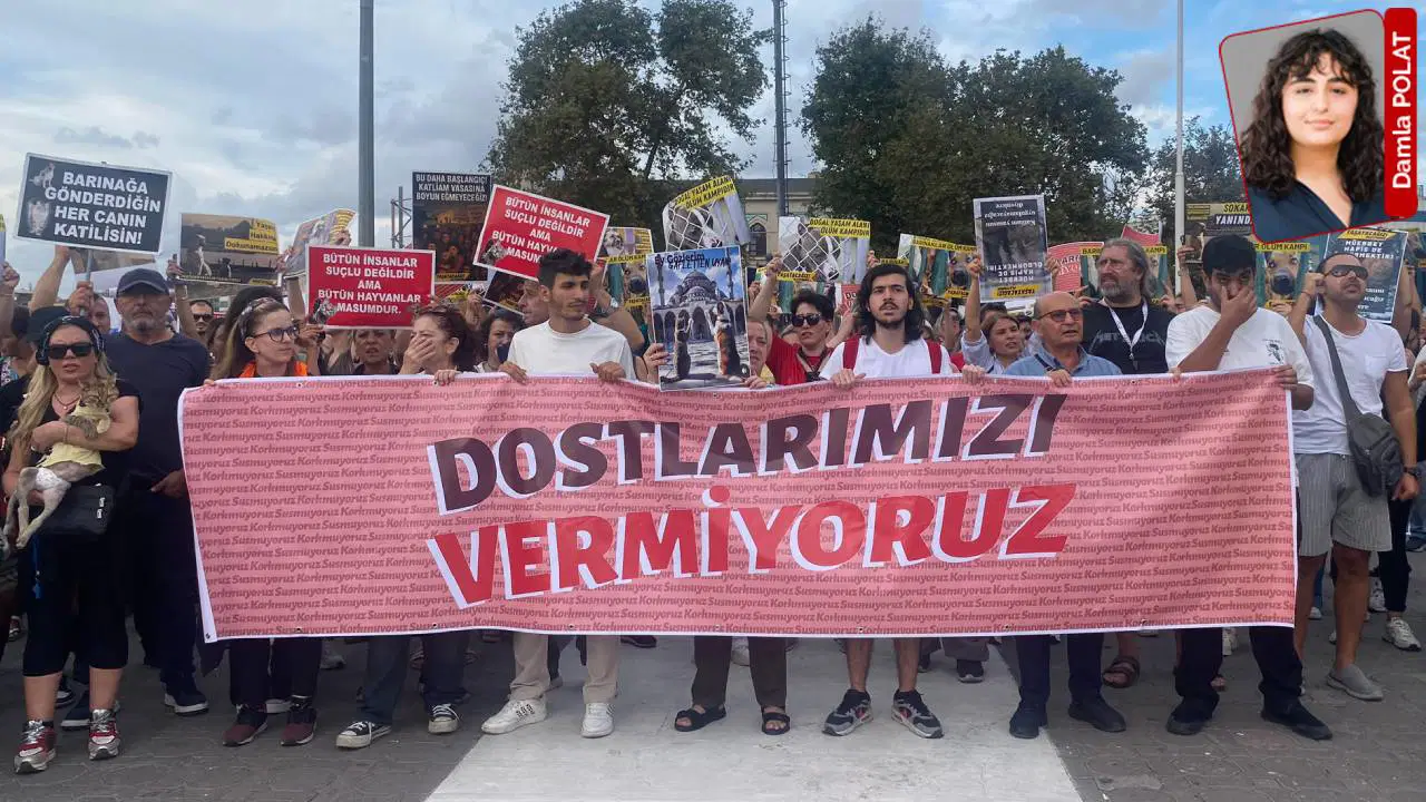 Kamuoyunda 'Katliam Yasası' olarak bilinen 7527 Sayılı Hayvanları Koruma Kanunu'nda yapılan değişikliklerin ardından sokak