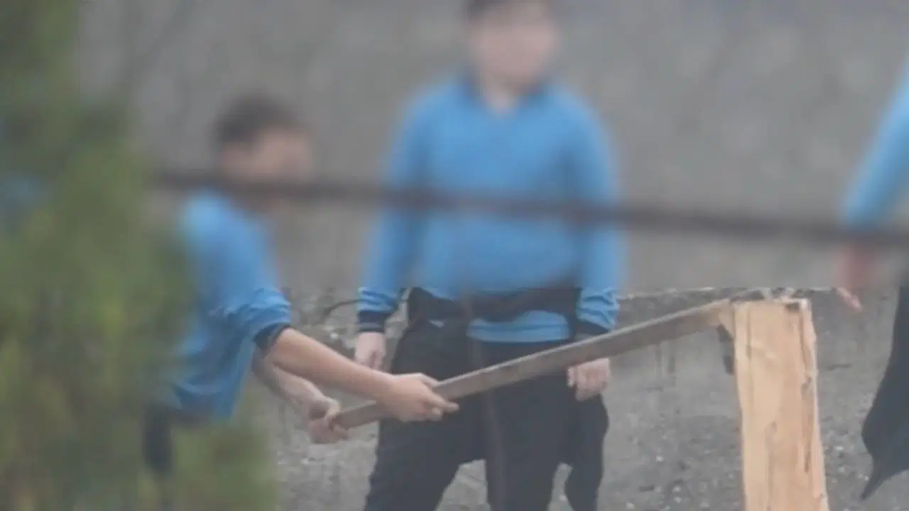 Samsun'un Ayvacık ilçesinde bulunan Çarşıköy Ortaokulu'nda, ders saatinde olması gereken öğrencilere okul bahçesinde ağaç kes