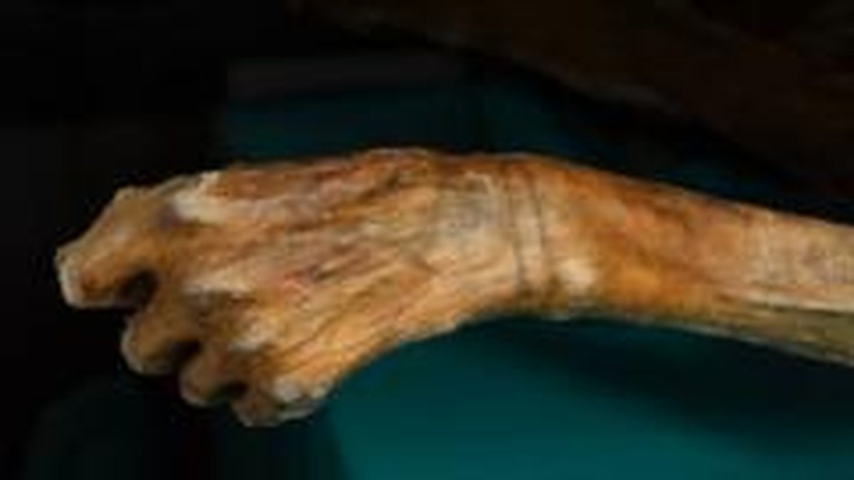 Mumyalar ve Viking geçitleri: Buzlar eriyince ortaya çıkan sırlar