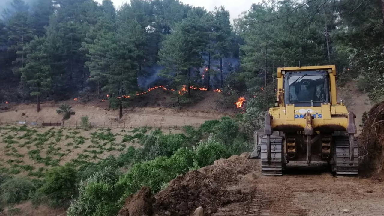 Kahramanmaraş'ta şakalaşırken ormanı yakmıştı: Cezası belli oldu