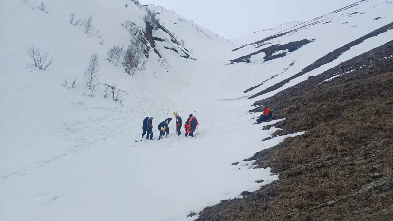 Artvin'de çoban çığ altında kaldı: Arama çalışması yeniden başlatıldı