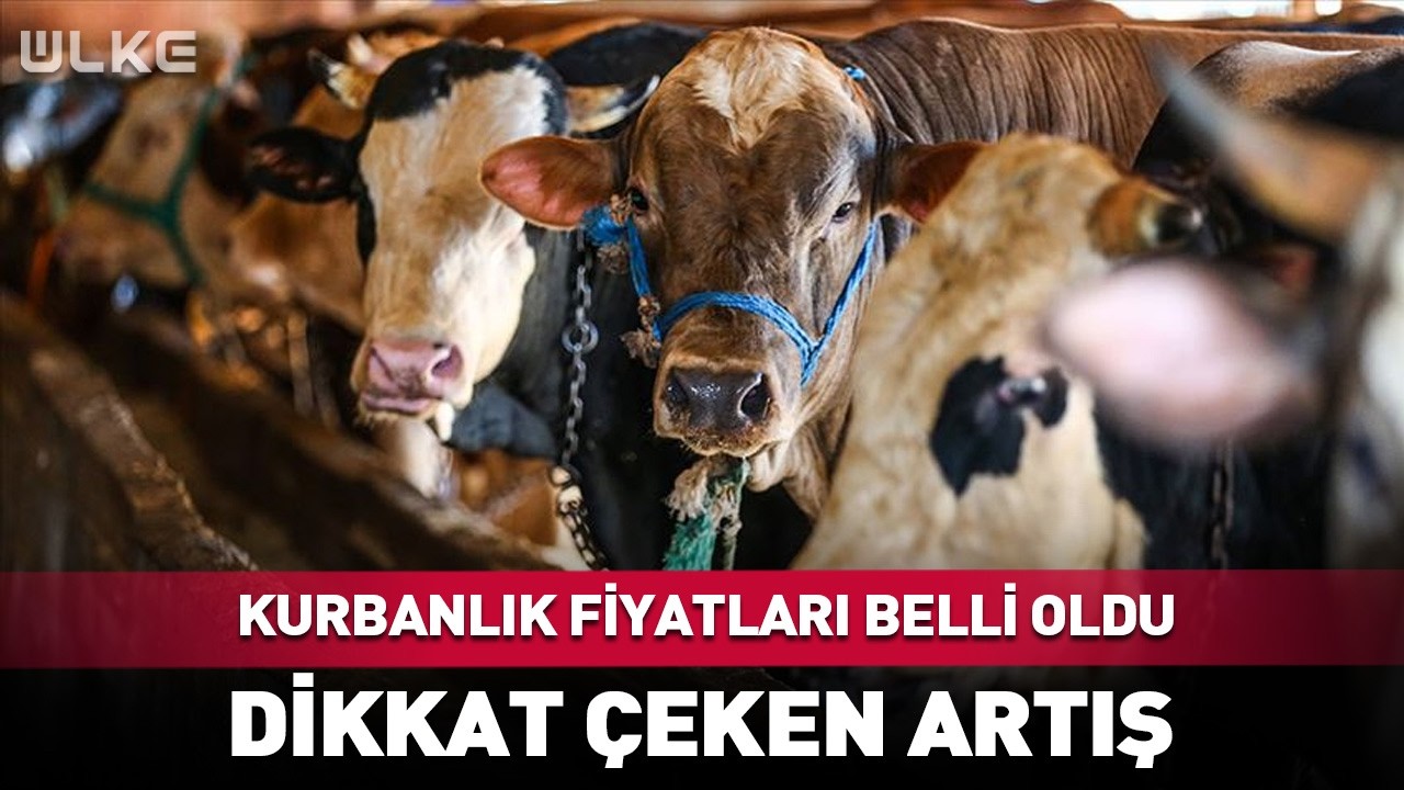 Kurbanlık Fiyatları Belli Oldu! Dikkat Çeken Artış...