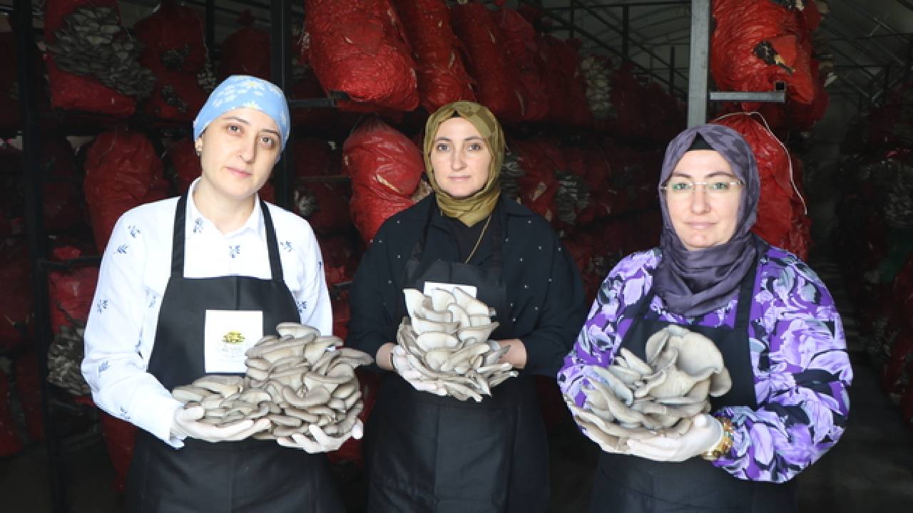 İlçede kimse bilmiyordu, şimdi siparişlere yetişemiyorlar: 3 kadın girişimci tarafından üretiliyor...